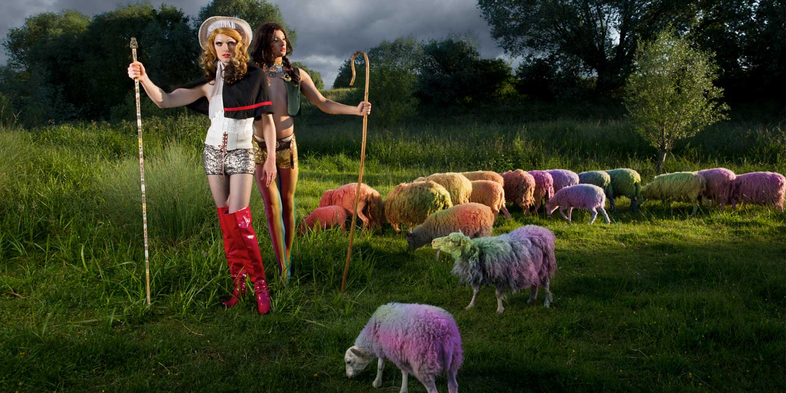 Photo 'Rainbow Sheeps' from Caterina Rancho