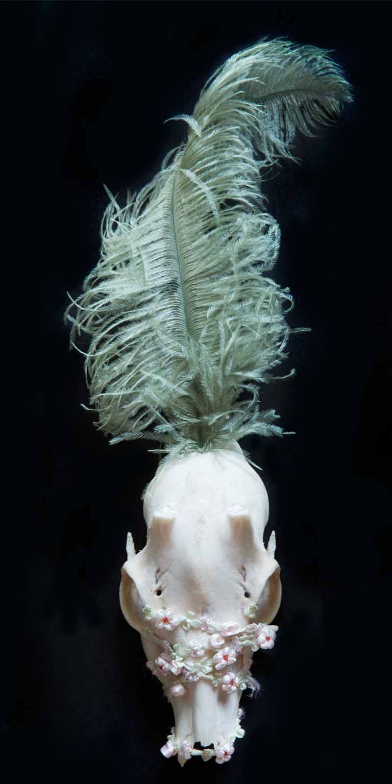 Installation 'Circusdeer' Caterina Rancho