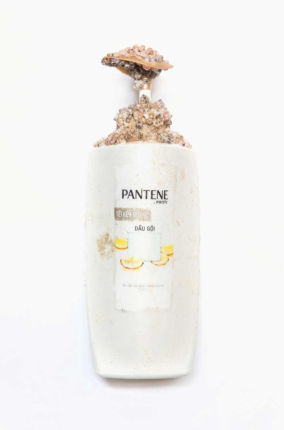 Fusion between nature and plastic waste at the Gulf of Thailand.