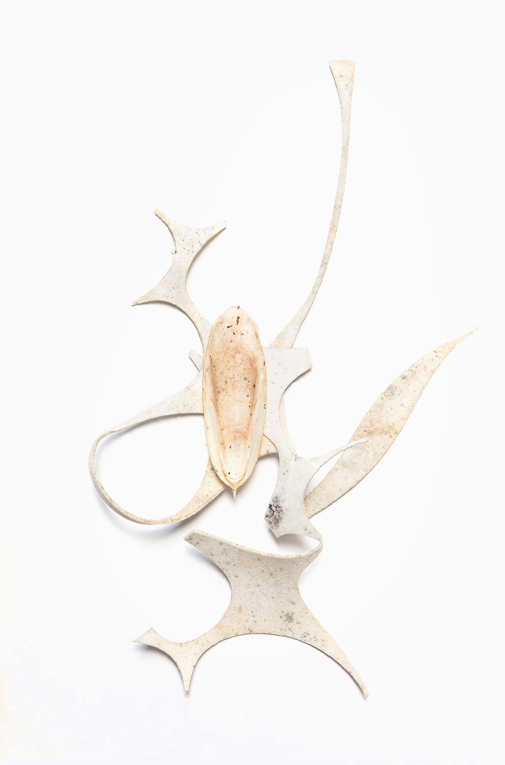 Fusion between nature and plastic waste at the Gulf of Thailand.